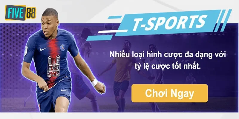 Tại sao sảnh T-Sports lại được yêu thích?